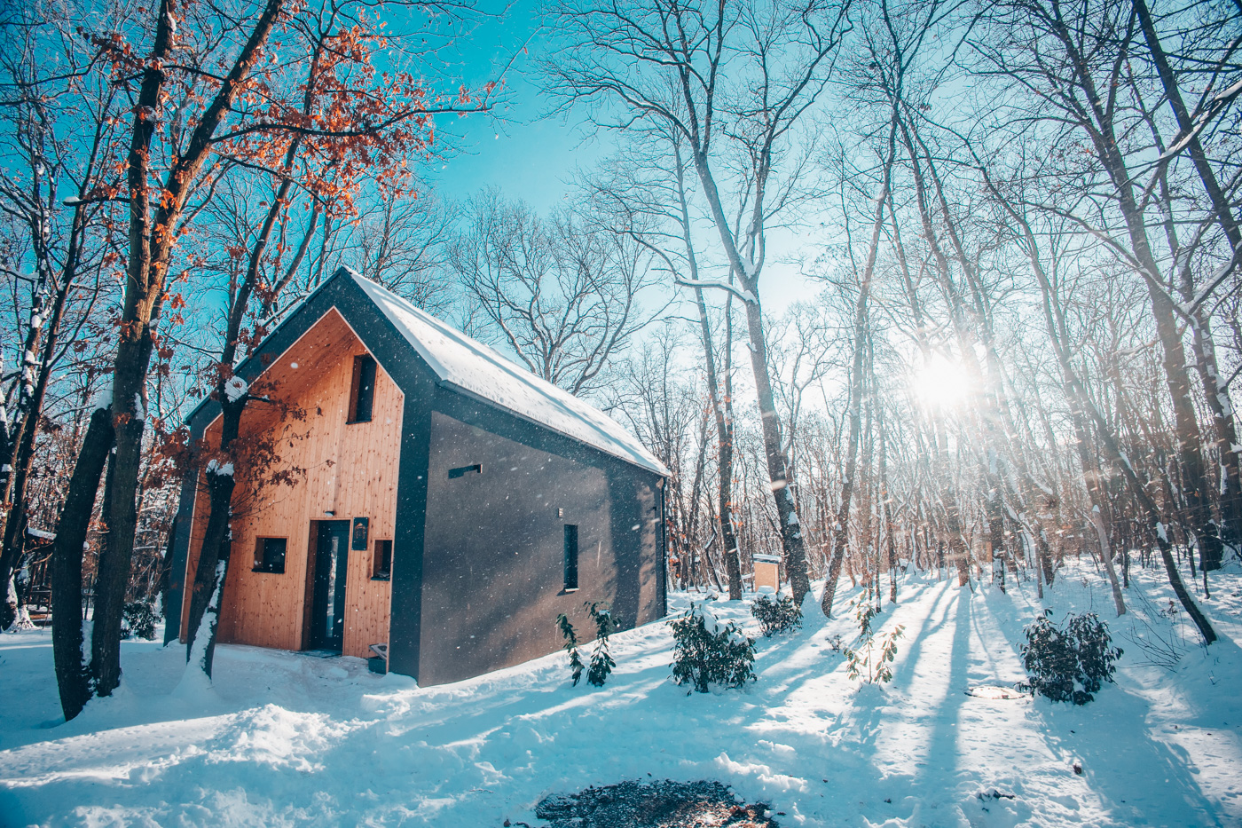 Cabin Studio fotó
